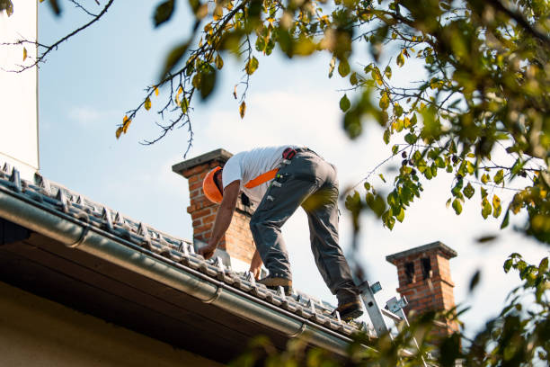 Best Local Roofing Companies  in Camp Barrett, VA