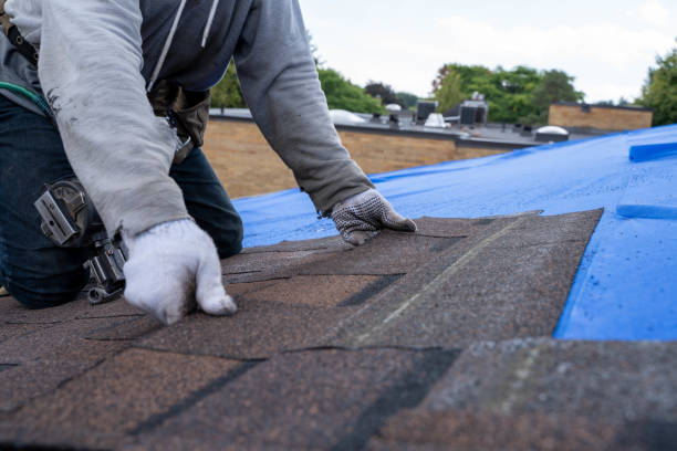 Best New Roof Installation  in Camp Barrett, VA
