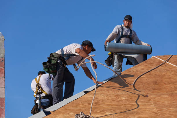 Best Roof Waterproofing Services  in Camp Barrett, VA