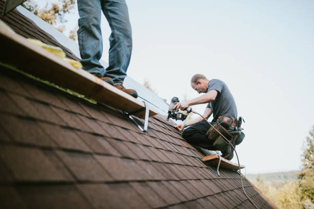 Best Roof Gutter Cleaning  in Camp Barrett, VA