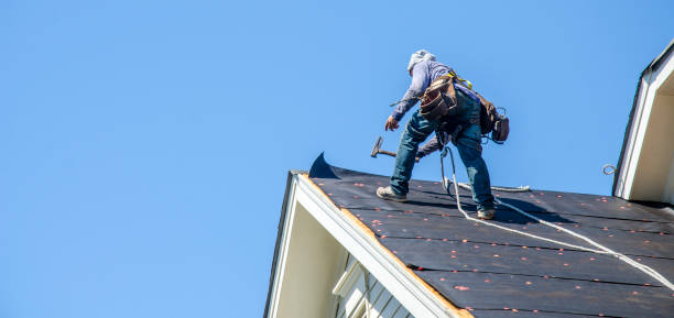 Best Sealant for Roof  in Camp Barrett, VA